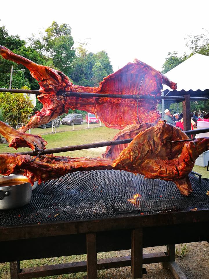 Kambing Golek 2