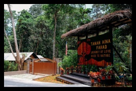 TANAH AINA 1